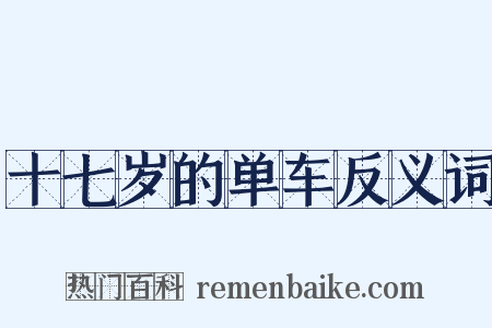 十七岁的单车反义词是什么意思的图片